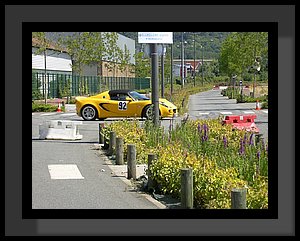 Elise6.jpg