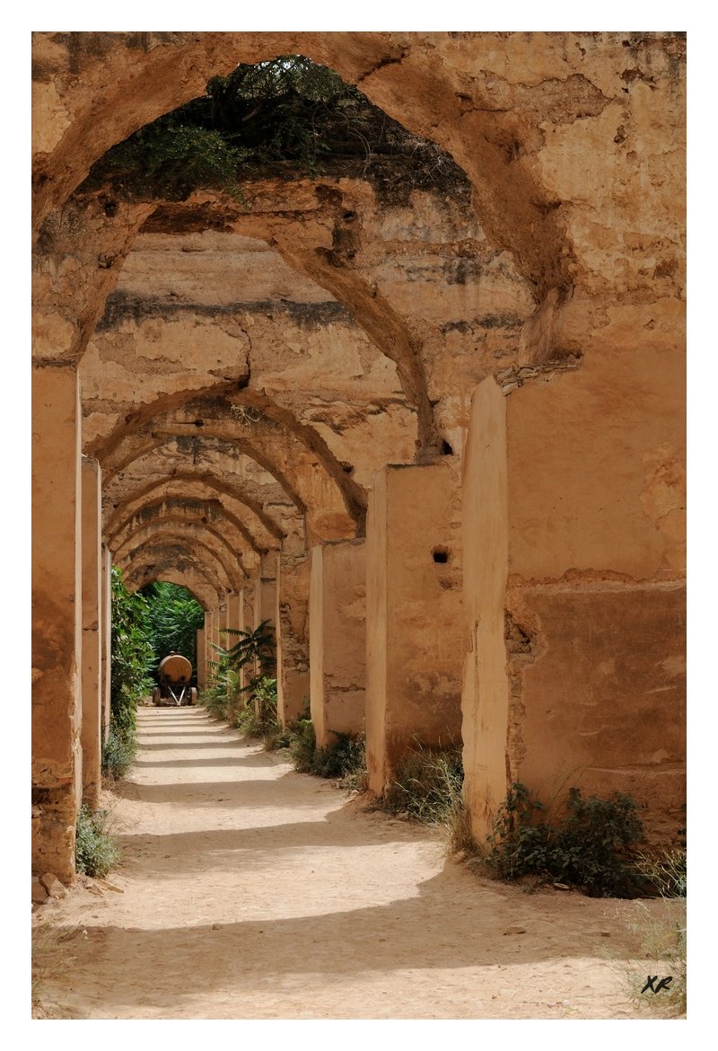 112-Meknes-ecuries.jpg