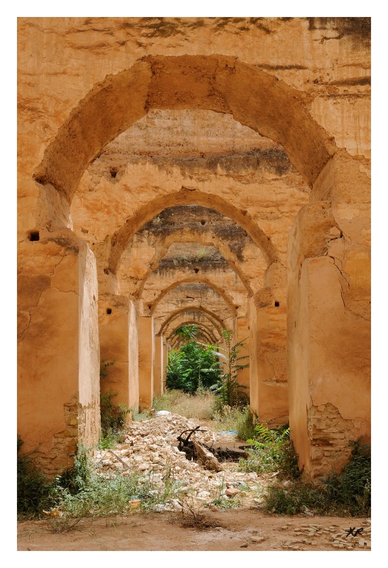 113-Meknes-ecuries.jpg