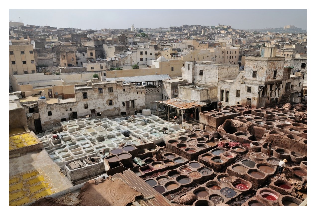 149-Fes-teinturiers.jpg