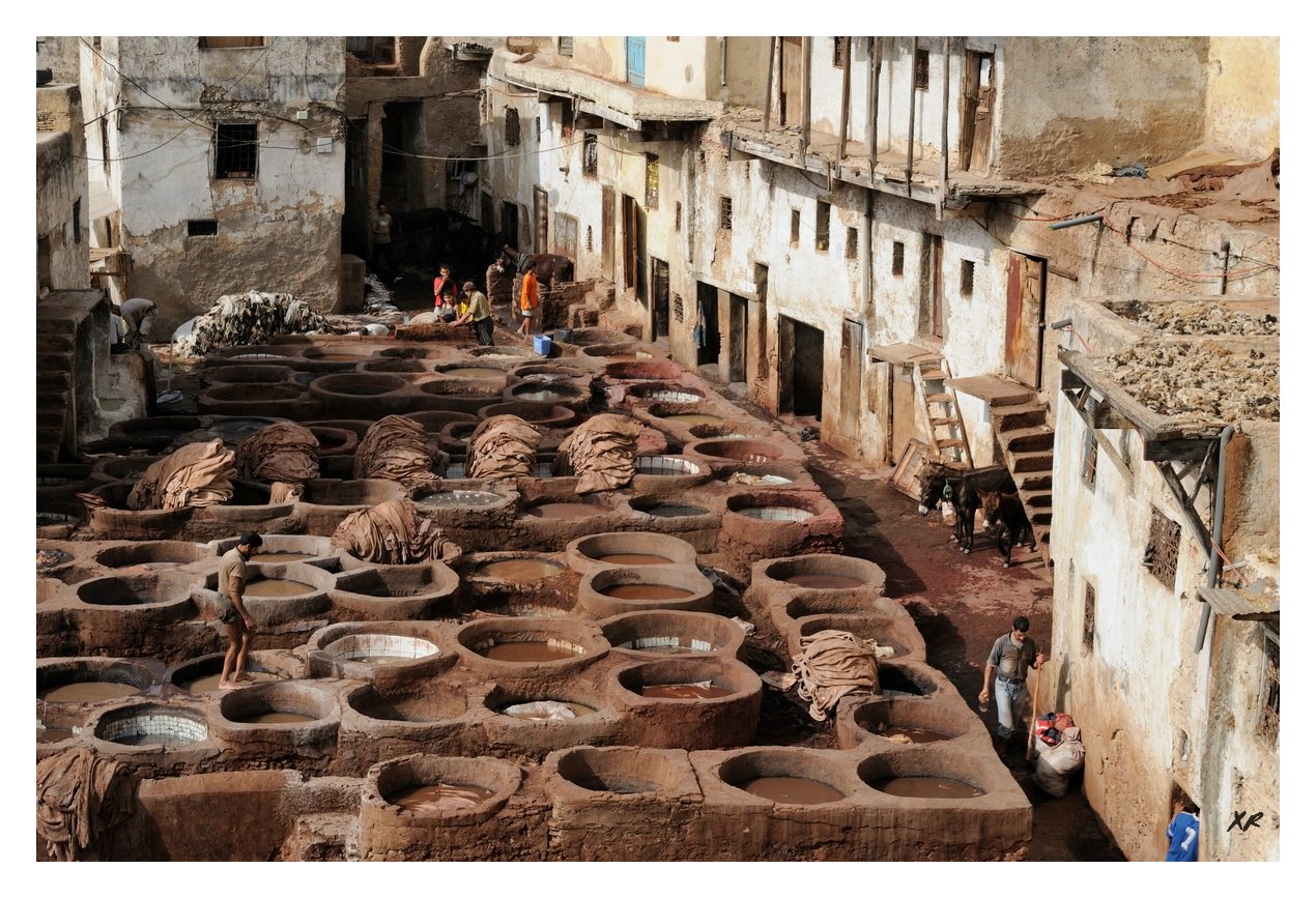 156-Fes-teinturiers.jpg
