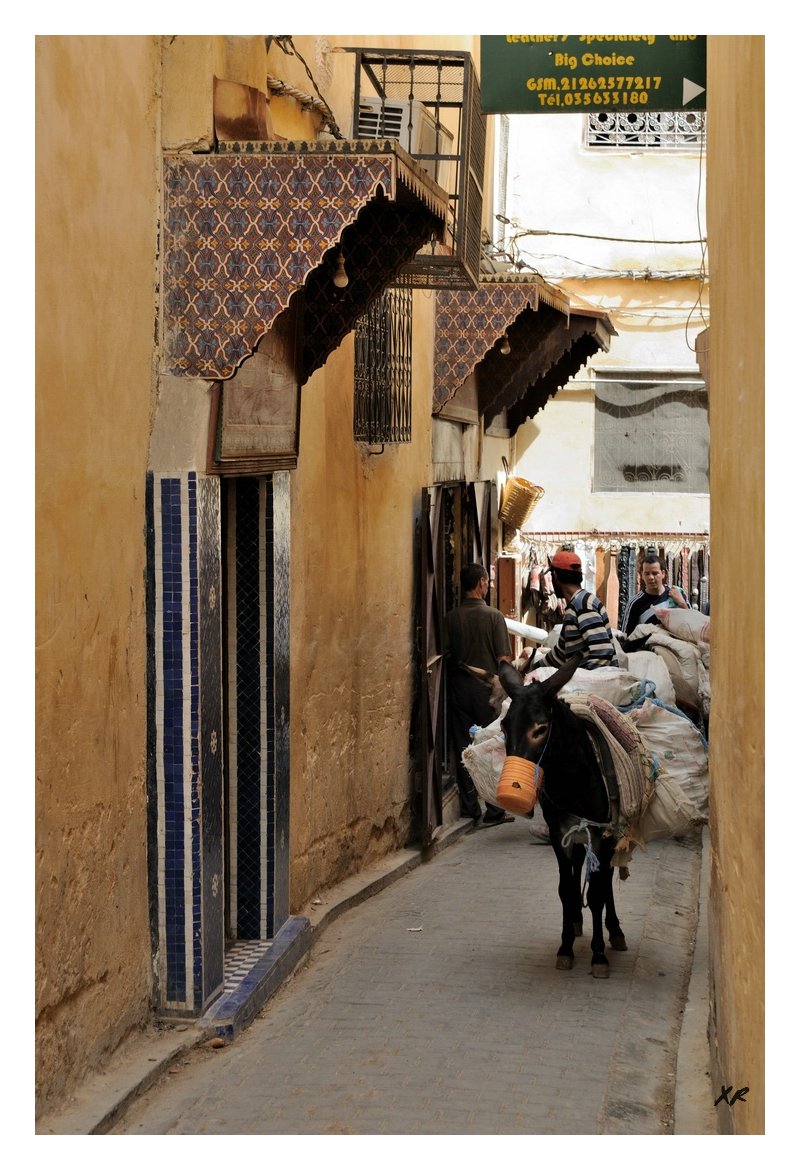 165-Fes-Medina.jpg