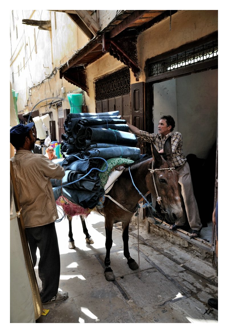 175-Fes-Medina.jpg
