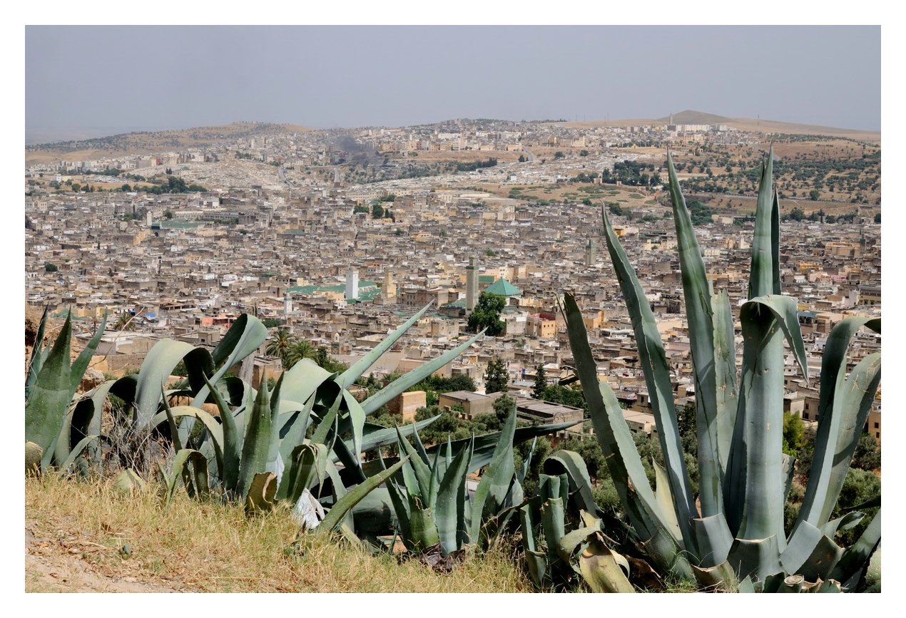 195-Fes.jpg