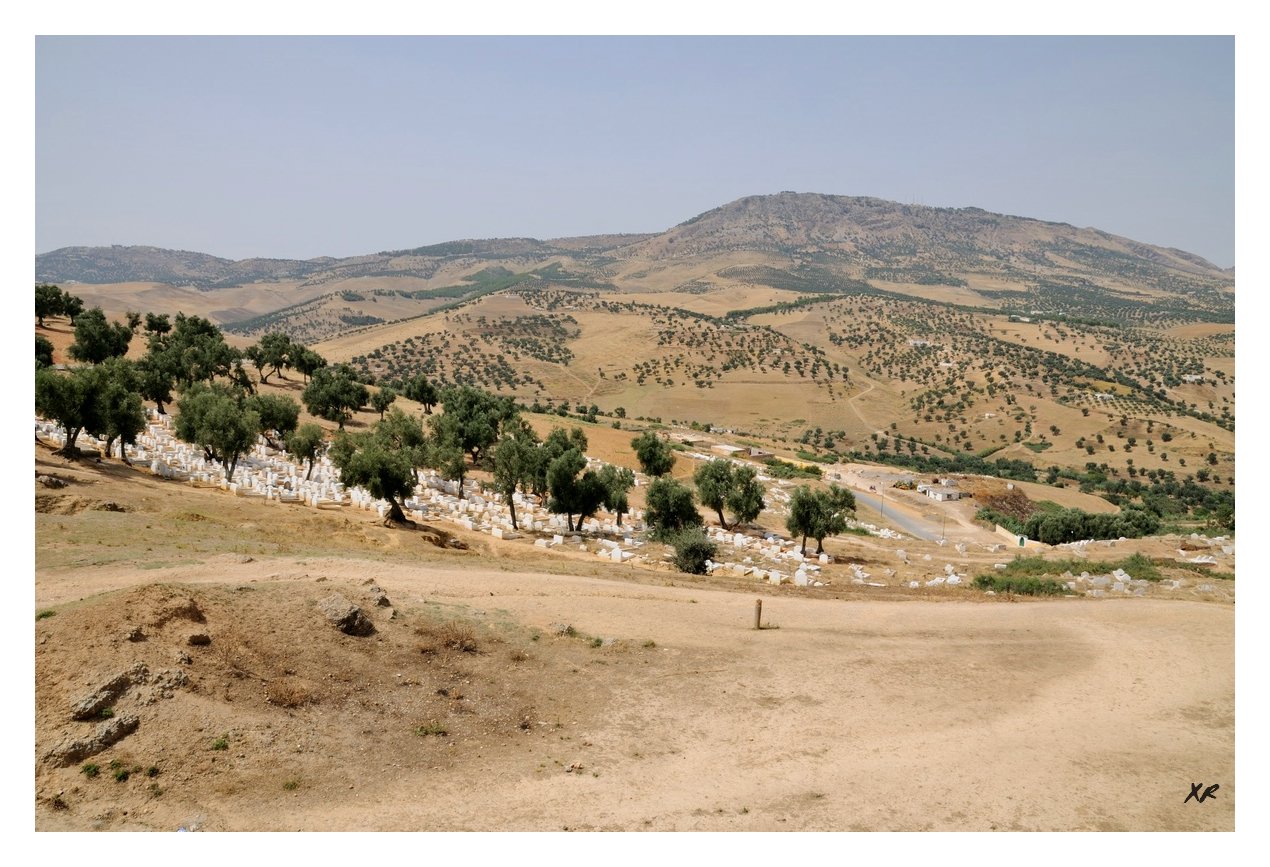 197-Fes.jpg