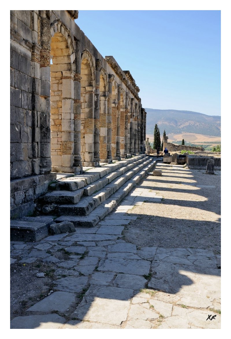 224-Volubilis.jpg