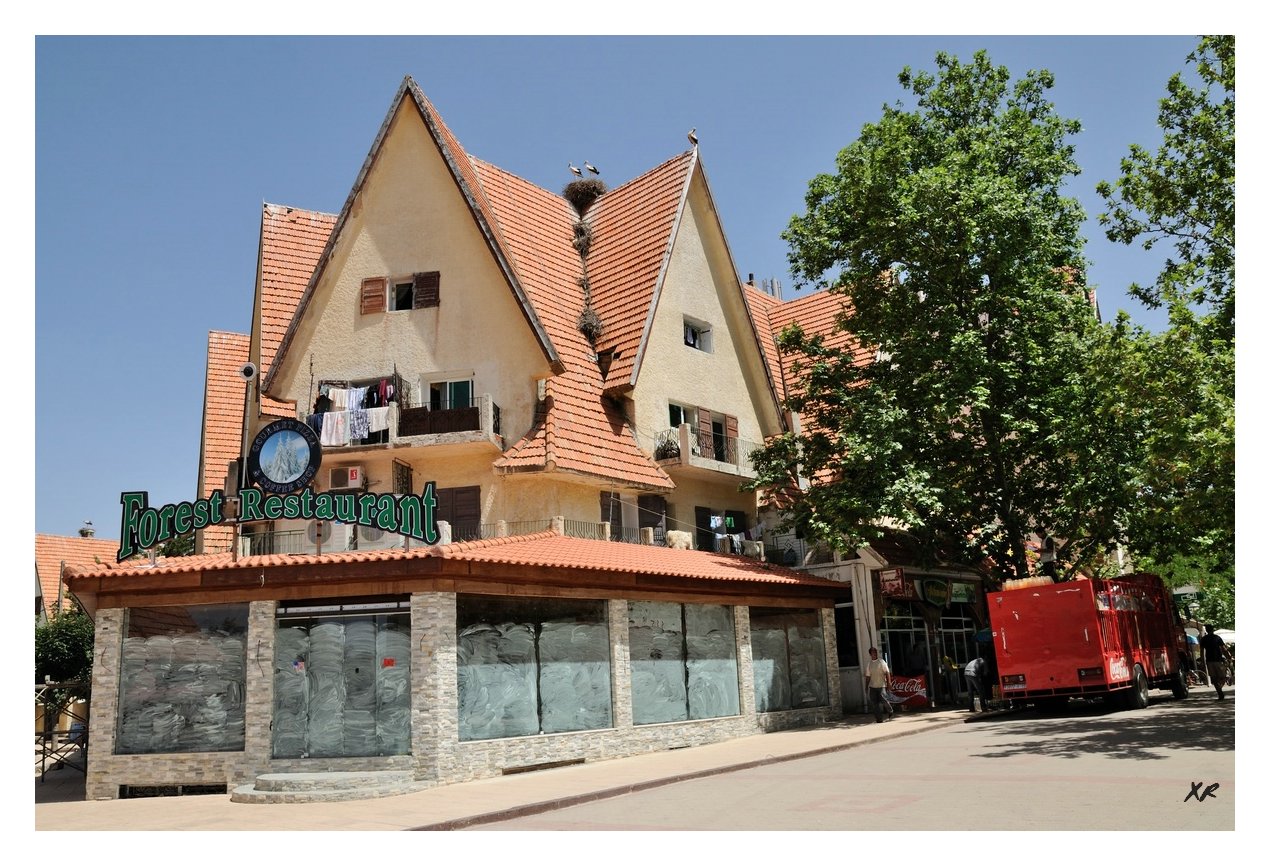 238-Ifrane.JPG