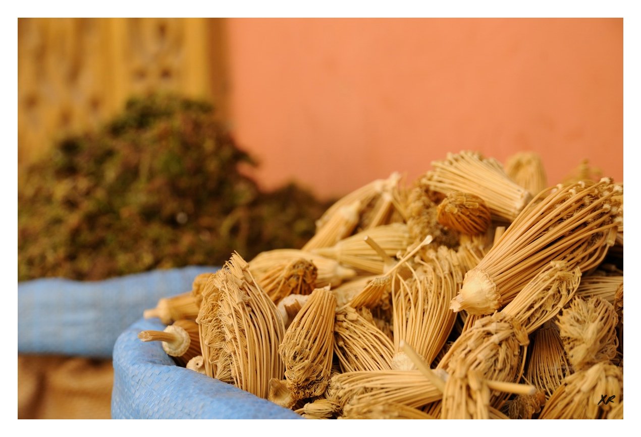 259-Marrakech-Herboriste.JPG