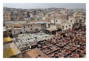 149-Fes-teinturiers.jpg