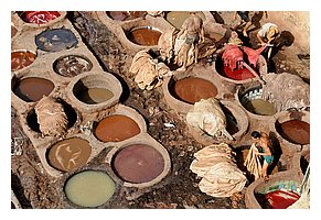 154-Fes-teinturiers.jpg