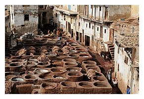 156-Fes-teinturiers.jpg