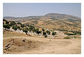 197-Fes.jpg