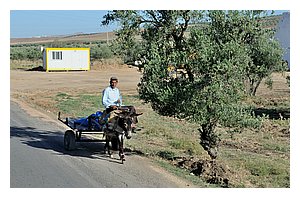 217-route.jpg
