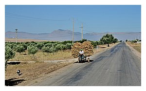 218-route.jpg