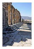 224-Volubilis.jpg