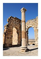 226-Volubilis.jpg