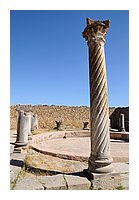 228-Volubilis.jpg