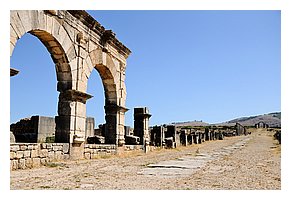 232-Volubilis.jpg