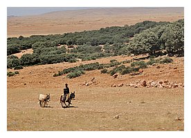 237-route.JPG