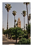 298-Marrakech.JPG
