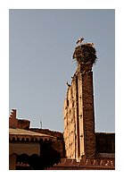 302-Marrakech-Medina.JPG