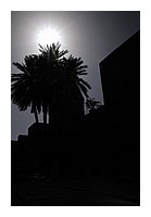 303-Marrakech-Medina.JPG