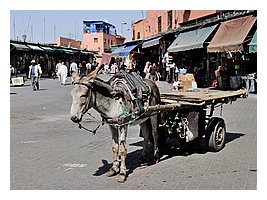 330-Marrakech-Medina.JPG