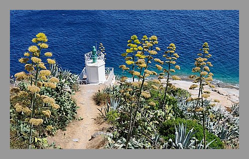 067-Calvi.jpg
