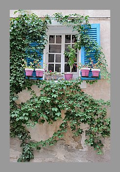 143-Ile-Rousse.JPG