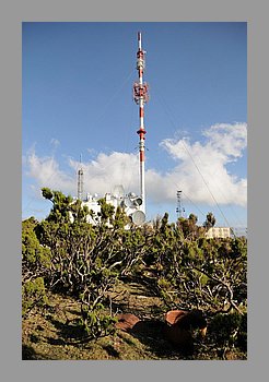 222-Antenne.JPG