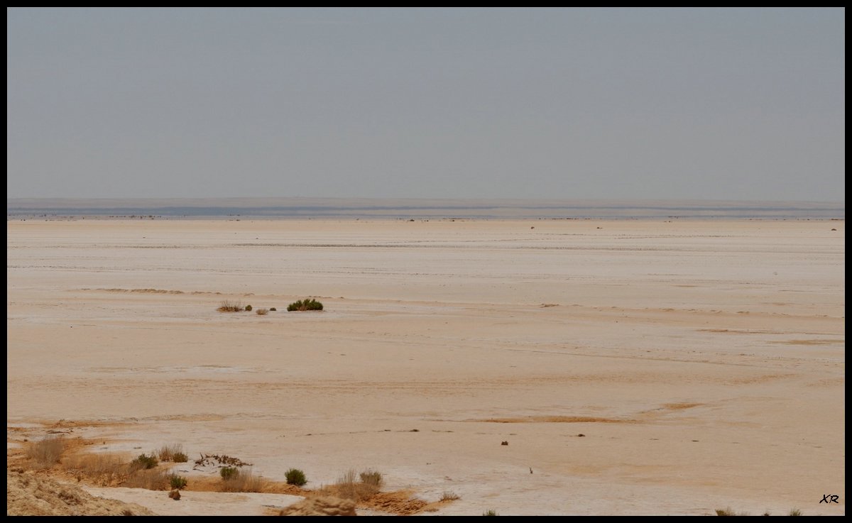 33-Chott-el-Jerid.JPG