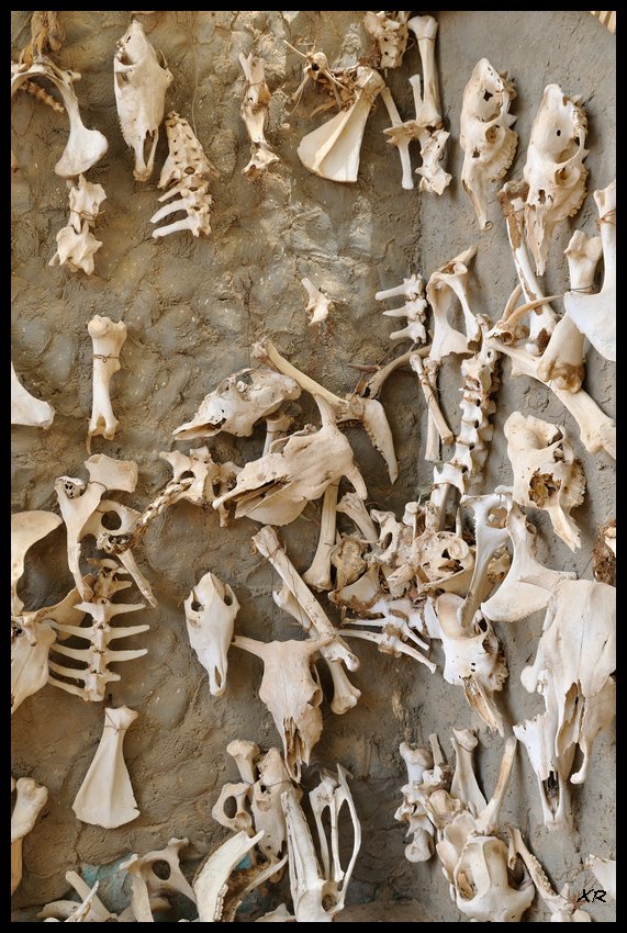 36.JPG