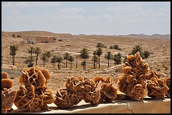 19-Matmata.JPG