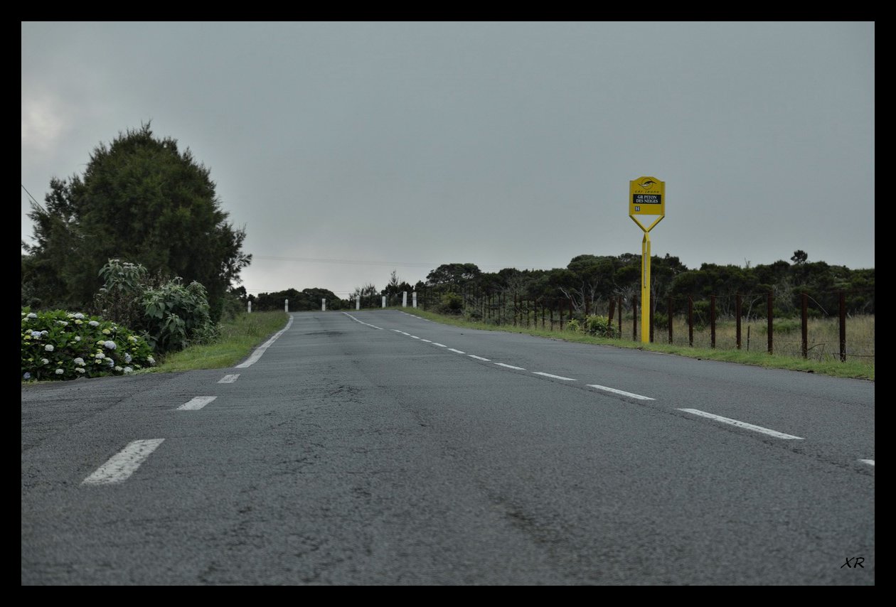 202-Plaine.JPG