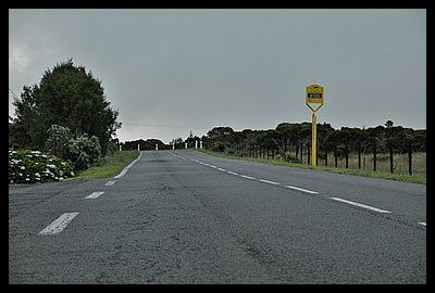 202-Plaine.JPG