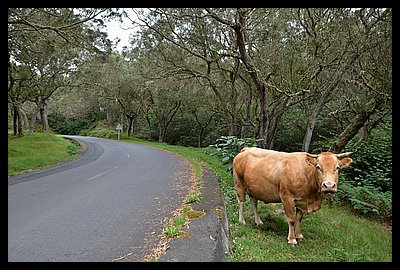 276-Maido.JPG
