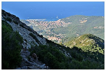 17-Monte Capanne.JPG