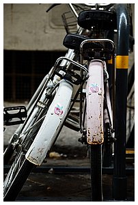 50-Florence.jpg