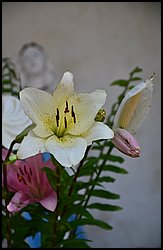 015-Hell Bourg.JPG