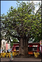 022-Saint Louis.JPG