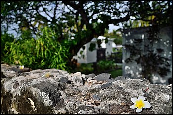 037-Saint Gilles.JPG