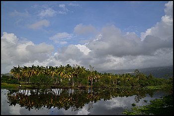 038-Etang.JPG