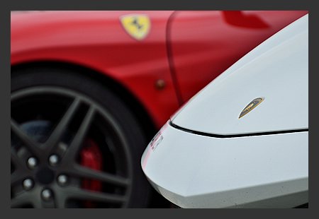 DSC_9518.jpg