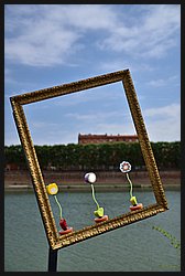 046-Toulouse.JPG