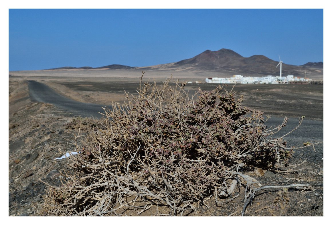 065-Punta de Jandia.JPG