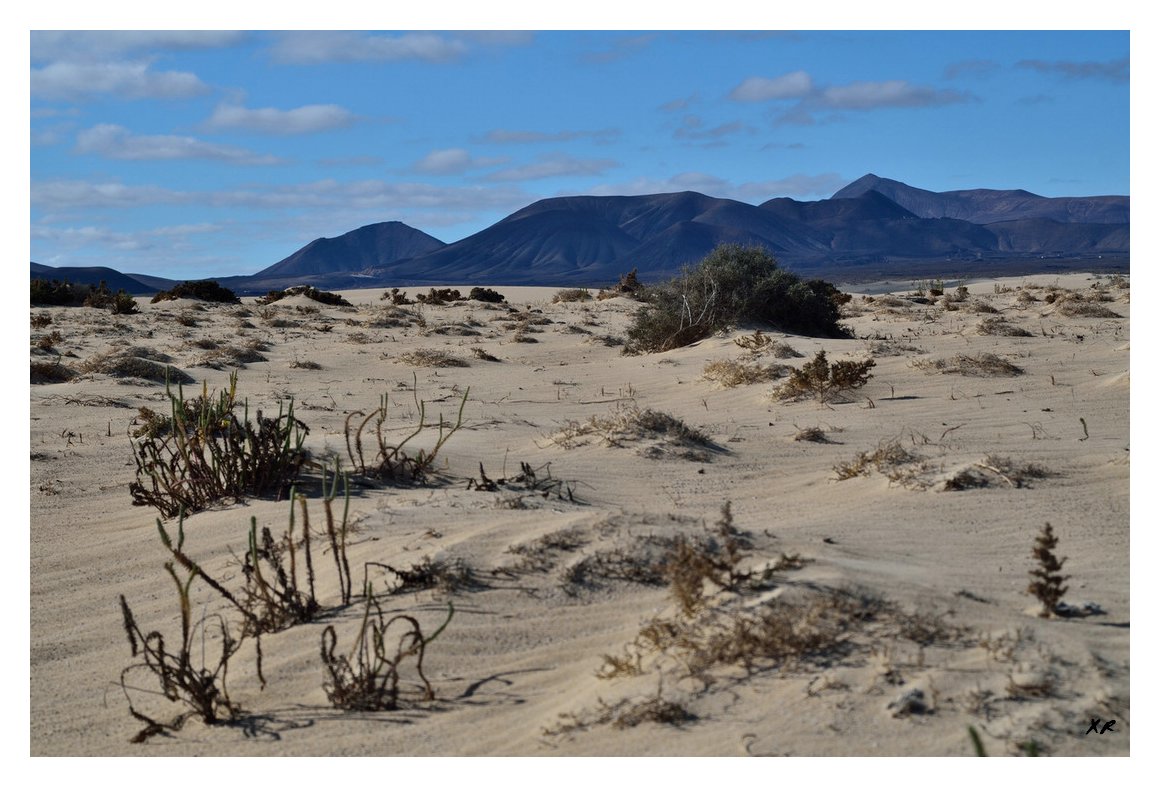 104-Corralejo.JPG
