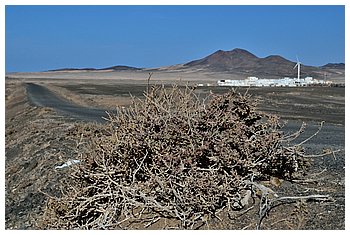 065-Punta de Jandia.JPG