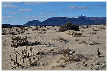 104-Corralejo.JPG
