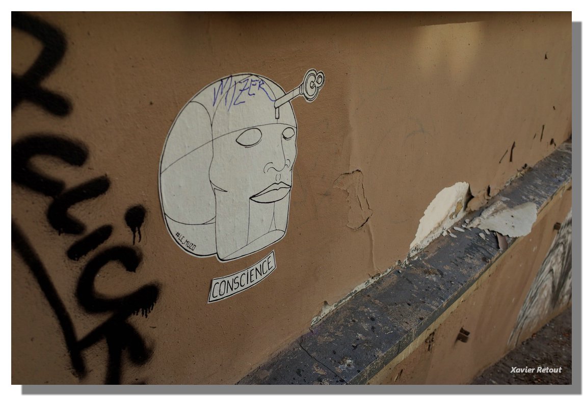04.JPG