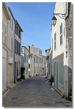 100.JPG